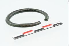 Foto von Bronzering (NHMW-PRAE-025361)